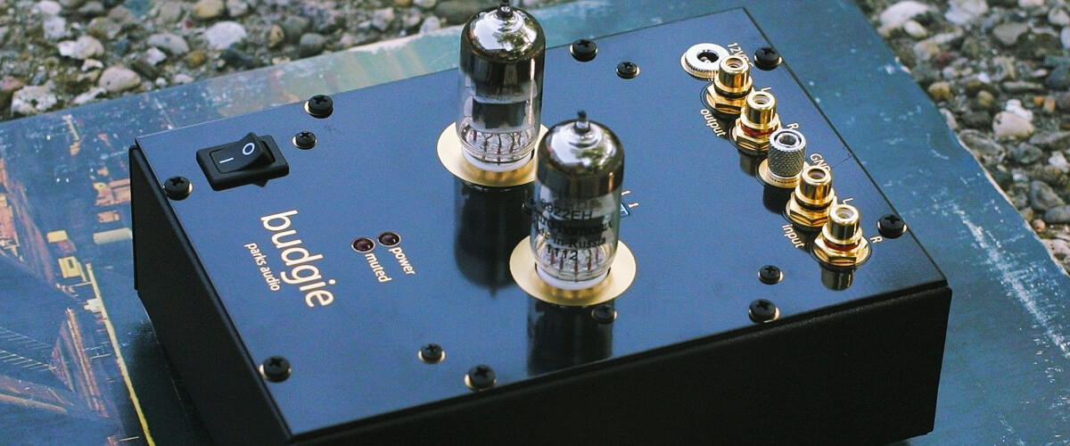 types of turntable preamps